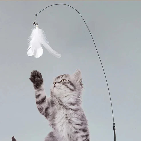 Interactive Cat Toy Set Bird Simulation
